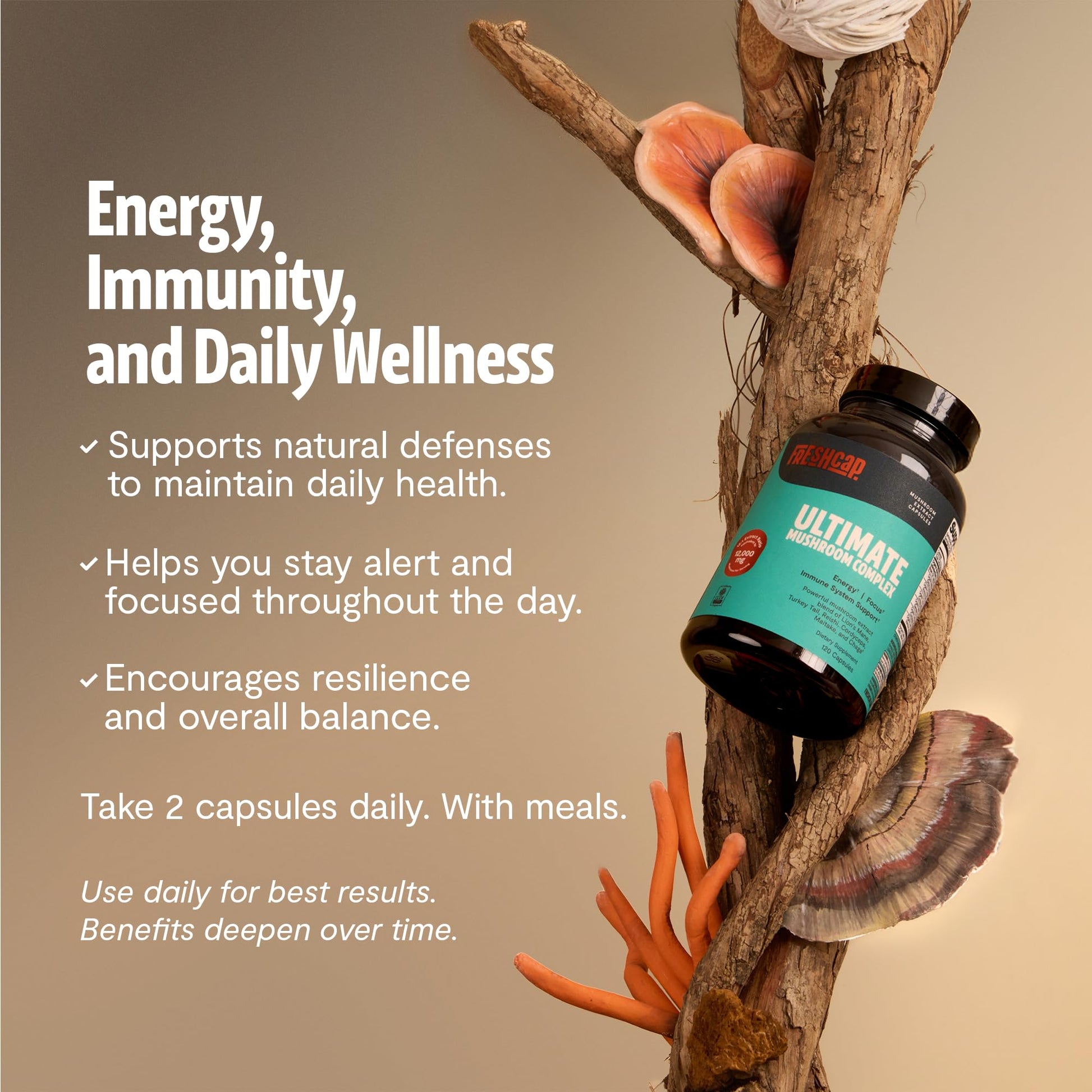 Premium Organic Mushroom Coffee – 12:1 Fruiting Body Extract – 29% Beta-Glucans – Smooth Tasting, 3rd-Party Tested for Clean Energy, No Jitters, Focus, Immune Support (15 Servings) - PrimeBioHealth - canada supplements
