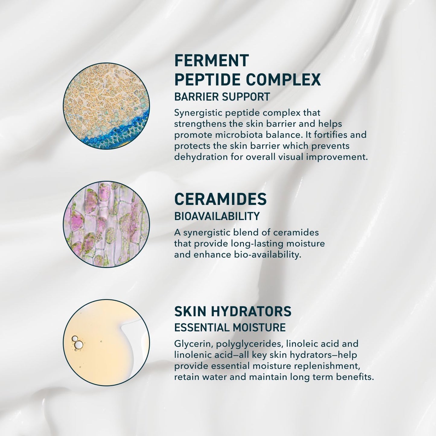 Prequel Skin AM/PM Modern Moisturizer – Hydrating Face Cream with Peptides, Ceramides - PrimeBioHealth - canada supplements