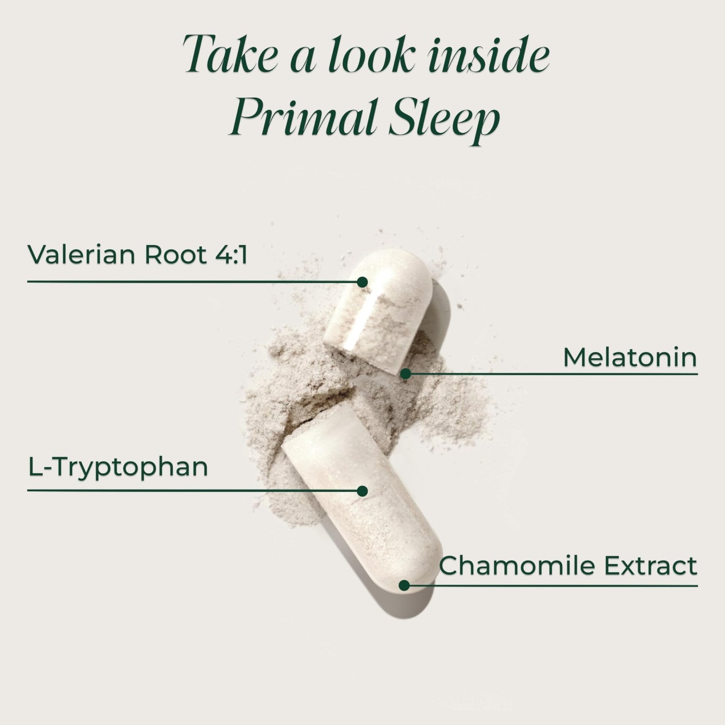 Primal Harvest Primal Sleep Support Supplement for Adults with Melatonin, GABA, Valerian Root, L-Tryptophan, Magnesium Bisglycinate Chelate - PrimeBioHealth - canada supplements