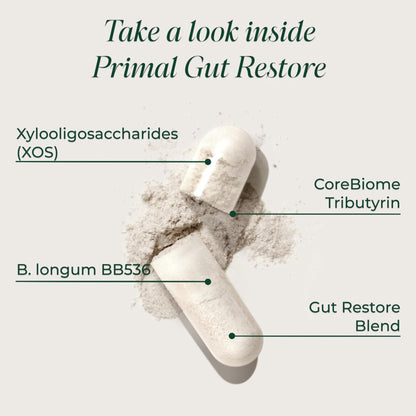 Primal Harvest Restore for Gut Health, Primal Gut Restore w/POSTbiotics, PREbiotics and PRObiotics for Women and Men, 60 CT - Digestion, Colon Cleanse, - PrimeBioHealth - canada supplements
