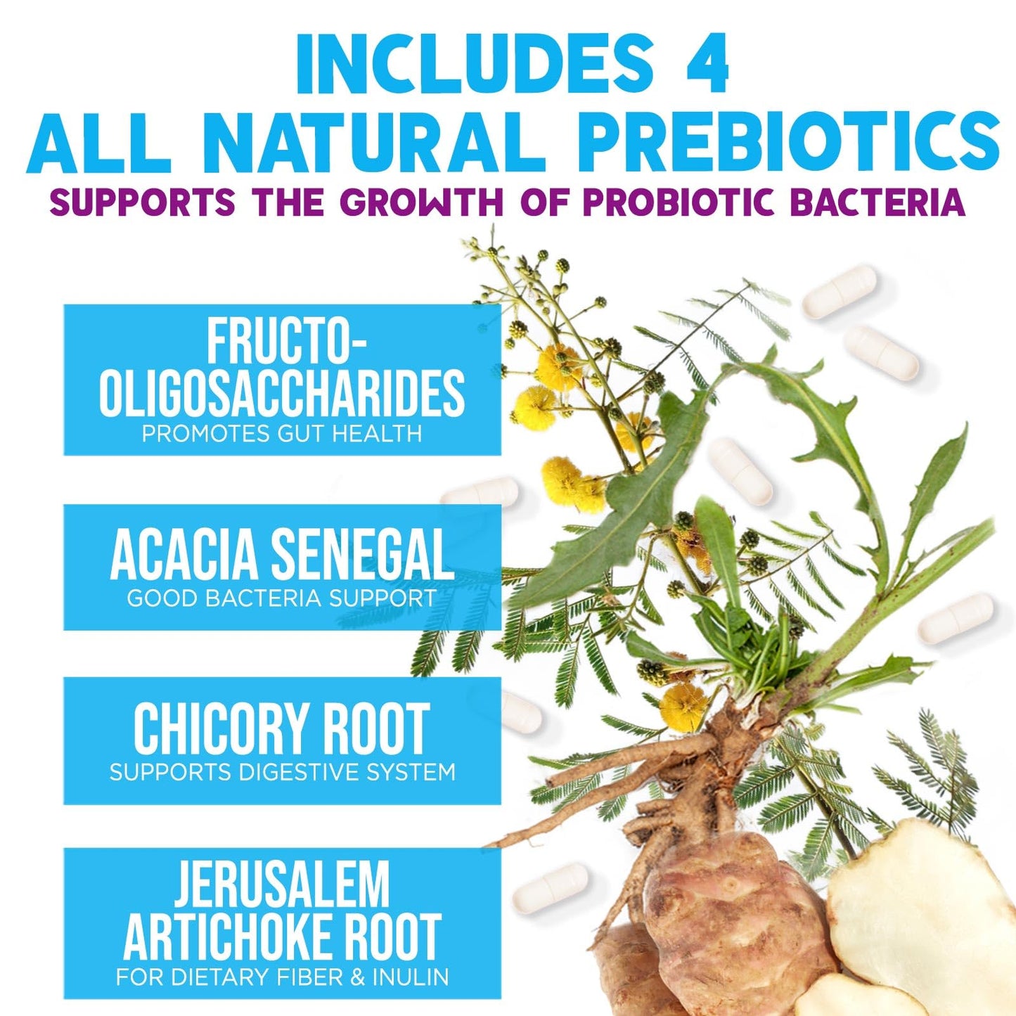 Probiotics 100 Billion CFU Per Serving - 10 Premium Strains + Prebiotics - Best Probiotic Supplement for Women & Men - Supports Immune, Digestive Health, - PrimeBioHealth - canada supplements