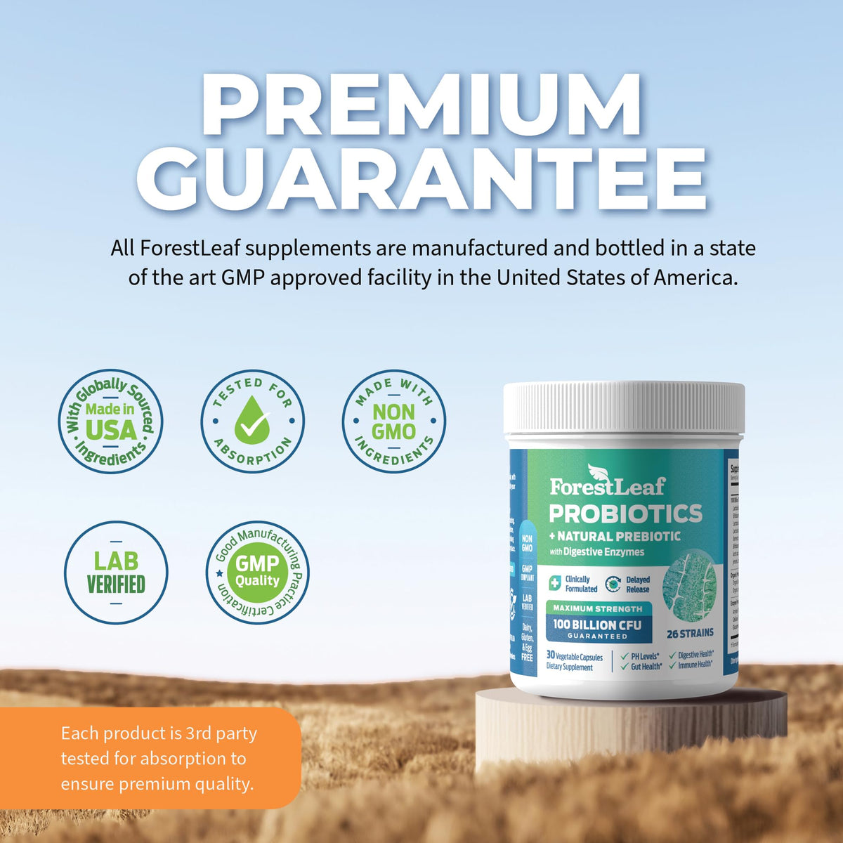 Probiotics for Men and Women, 100 Billion CFU, 26 Unique Strains, Men's and Women's Probiotic and Prebiotics Support Digestive Health, Gut Wellness, Energy, - PrimeBioHealth - canada supplements