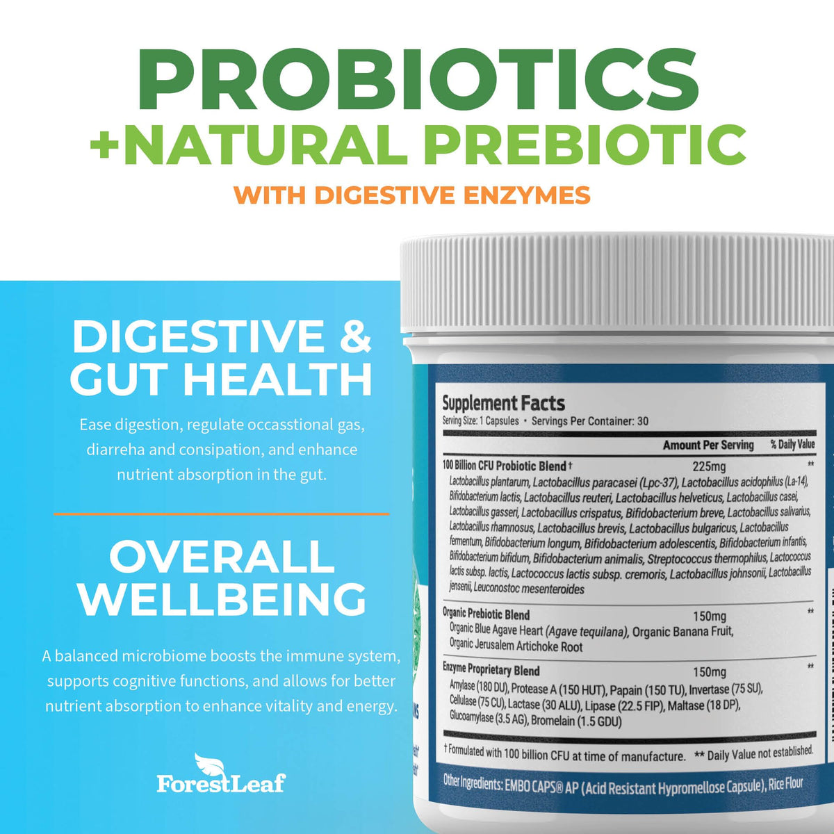 Probiotics for Men and Women, 100 Billion CFU, 26 Unique Strains, Men's and Women's Probiotic and Prebiotics Support Digestive Health, Gut Wellness, Energy, - PrimeBioHealth - canada supplements