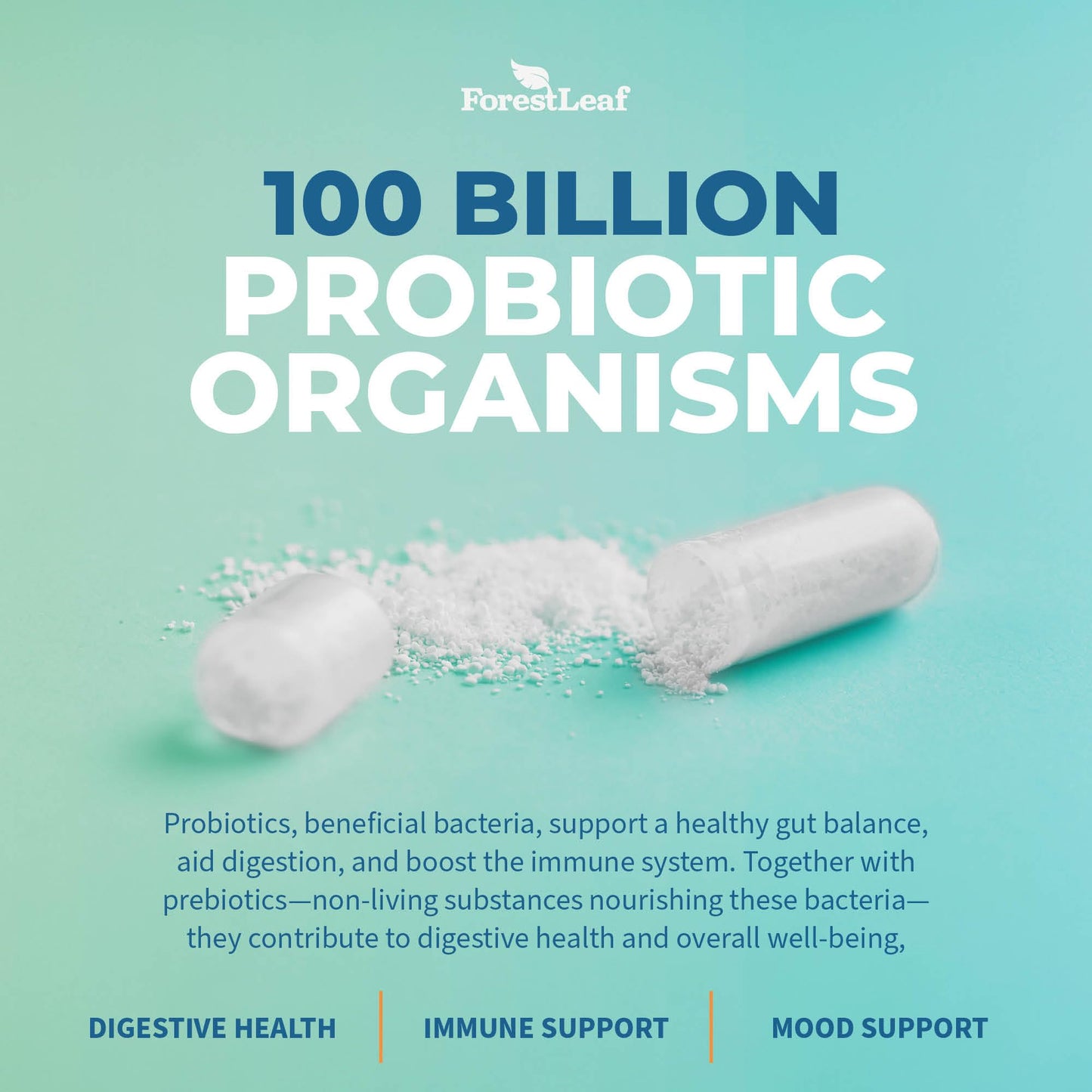 Probiotics for Men and Women, 100 Billion CFU, 26 Unique Strains, Men's and Women's Probiotic and Prebiotics Support Digestive Health, Gut Wellness, Energy, - PrimeBioHealth - canada supplements