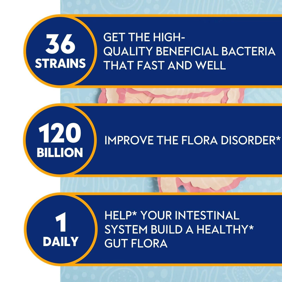 Probiotics for Women & Men 120 Billion CFU with 36 Probiotic Strains for Digestive Health and Gut Health, Delayed Release Capsules, Stomach Acid Resistant, - PrimeBioHealth - canada supplements