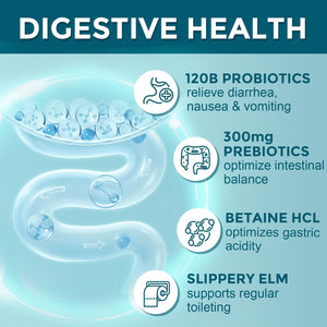 Probiotics for Women-Men Digestive Health with 120 Billion CFUs, Prebiotics and Probiotics for Women-Men, Digestive Enzymes, Nutrient Absorption, Immune Support - PrimeBioHealth - canada supplements