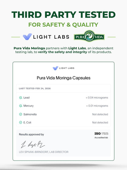 PURA VIDA MORINGA Leaf Extract Liquid Drops - USDA Organic Certified - Highly Purified, Bioavailable & Faster Absorption than Moringa Powder or Capsules - PrimeBioHealth - canada supplements