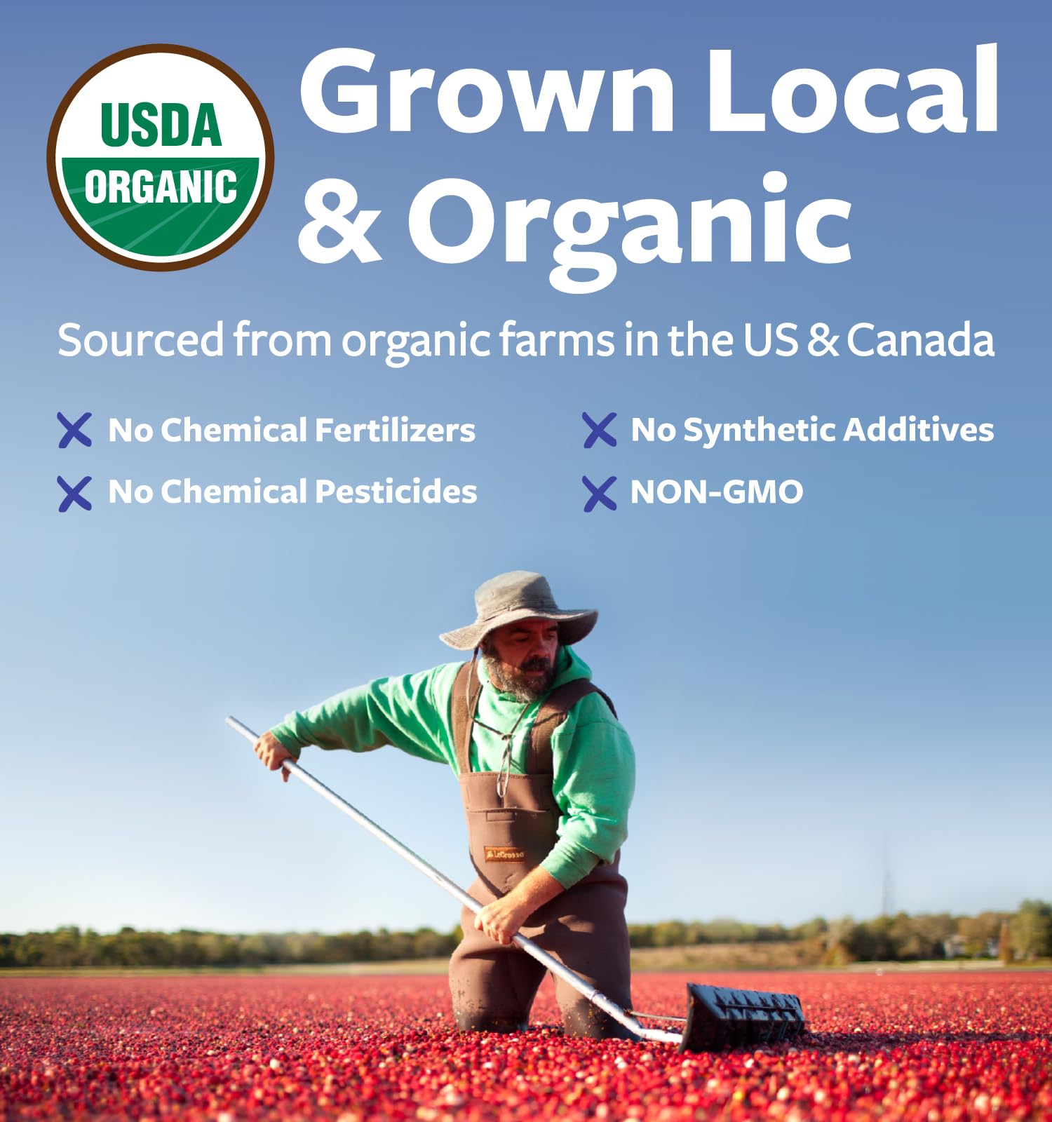 PURE CO USDA Organic Cranberry Concentrate Powder - Organic Cranberry Powder 500mg 50:1 Extract Per 1 Scoop Serving - Kidney Cleanse & Urinary Tract Support for Women - 100 Servings - PrimeBioHealth - canada supplements
