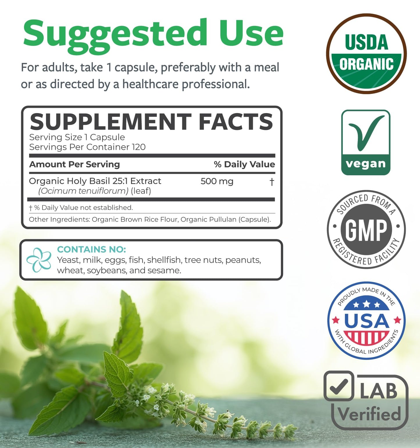 PURE CO USDA Organic Holy Basil Supplement – High Potency Organic Holy Basil 500mg 25:1 Extract 1 Capsule Per Serving – High Strength Tulsi Extract – 60 Vegan Capsules – Non-GMO & Made in USA - PrimeBioHealth - canada supplements