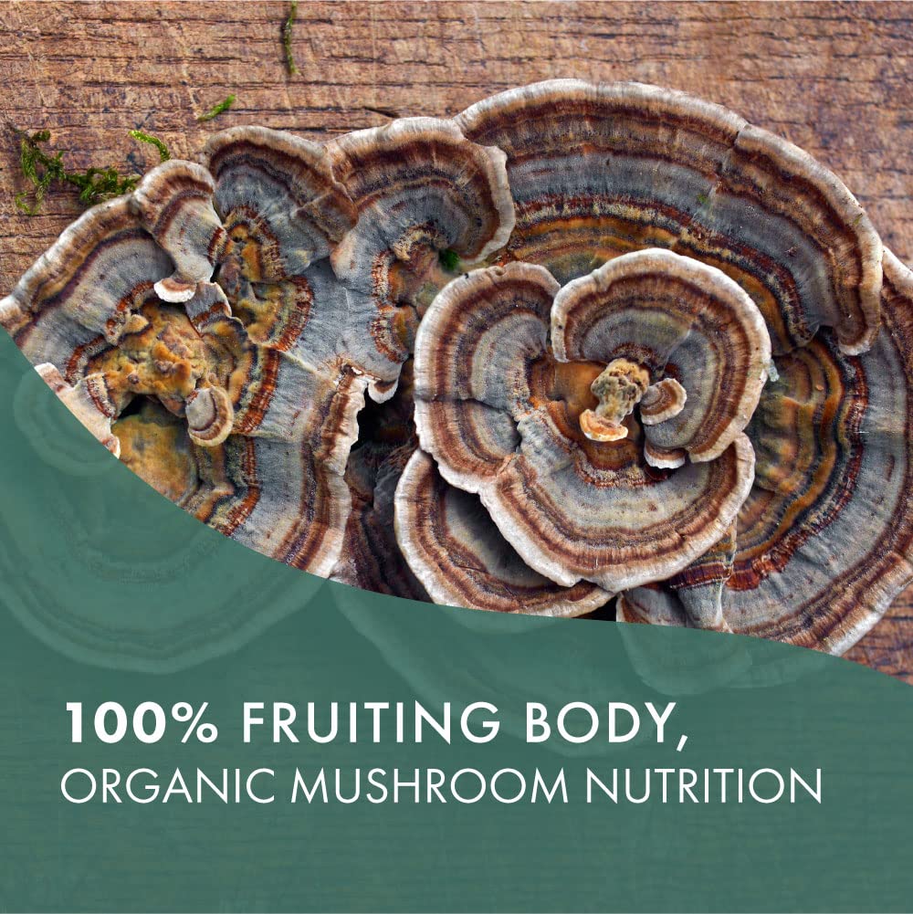PURE ESSENCE LABS Organic Turkey Tail 4X Mushroom Extract, Vegan Mushrooms Supplement for Immune Building, 30 Capsules - PrimeBioHealth - canada supplements
