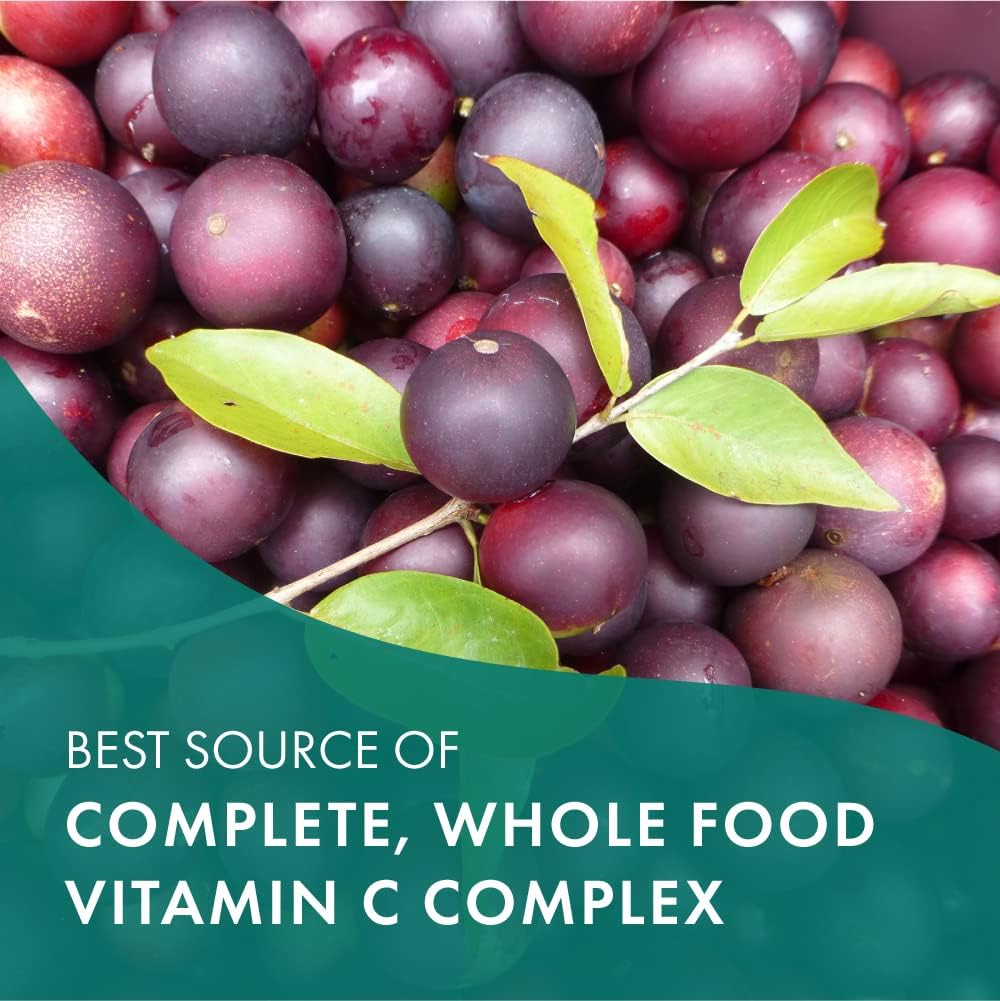 PURE ESSENCE LABS Whole-C Whole Food Vitamin C - Best Immune Support - Organic & Nature Vitamins - Immunity Booster & Dietary Supplements (30 Tablets) - PrimeBioHealth - canada supplements