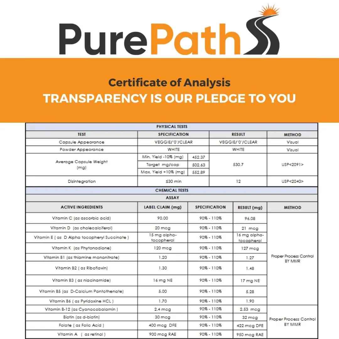 PurePath Non-Toxic Adult Multivitamin - 13 Vitamins - 100% RDA - No Harmful Megadoses - with B6 & B12