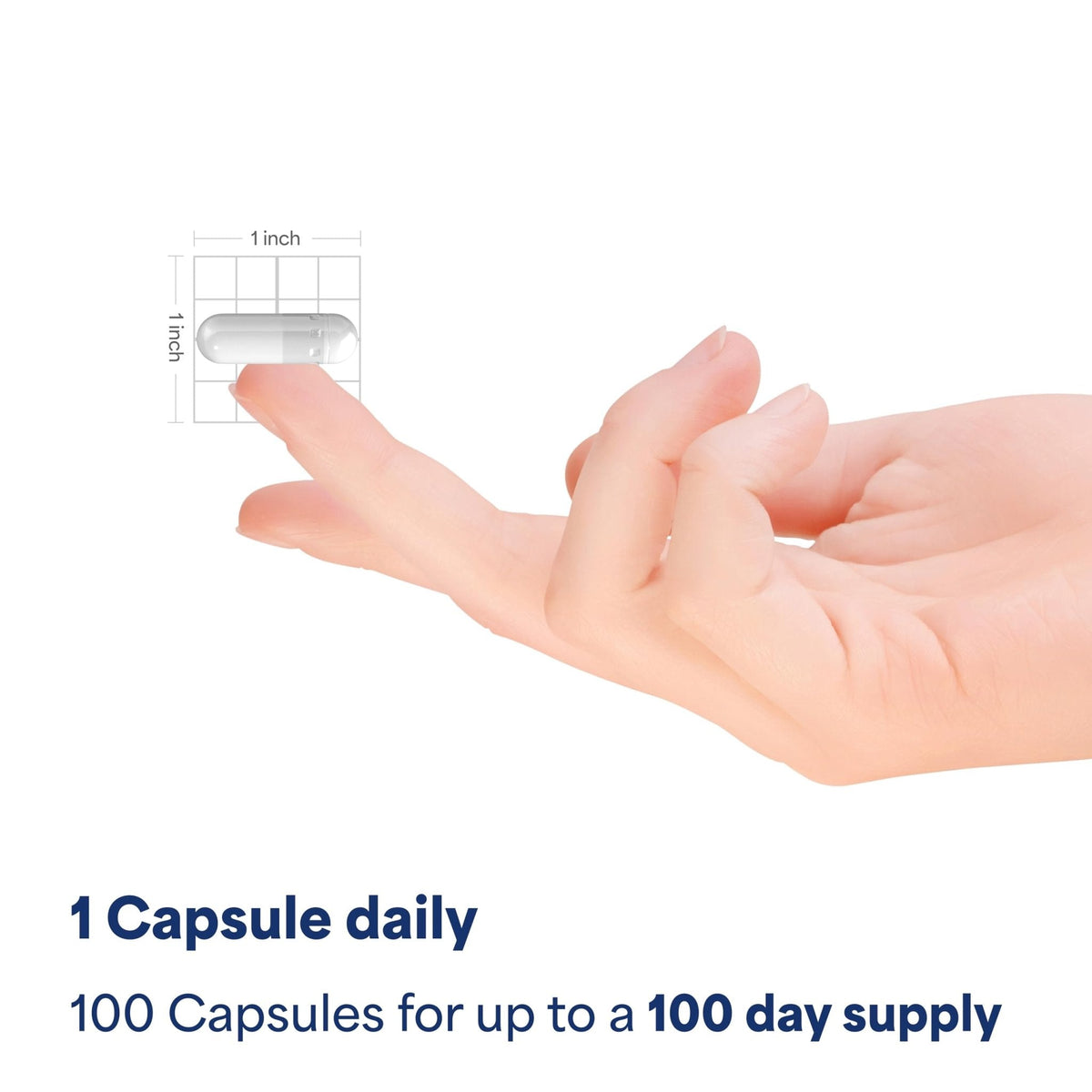 Puritan's Pride L-Arinine 1000mg, Dietary Supplement Supports Nitric Oxide Levels and Heart and Circulatory Heath, 100 Day Supply, 100 Tablets - PrimeBioHealth - canada supplements
