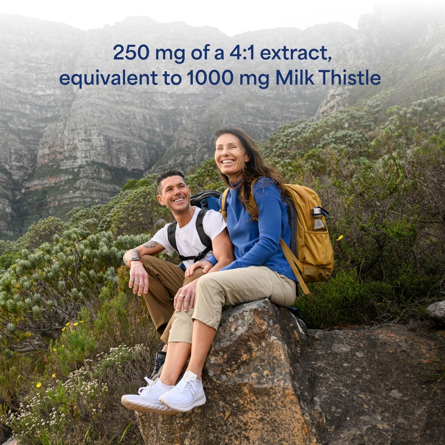 Puritan's Pride Milk Thistle Silymarin 4:1 Concentration Extract 250 mg (1000 mg Equivalent) - PrimeBioHealth - canada supplements