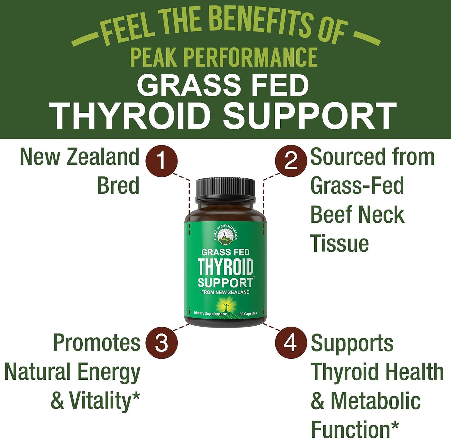 Raw Desiccated Thyroid Supplement. Grass Fed New Zealand Beef Neck & Thyroid Gland Capsules for Women and Men. Ancestral Living Ethically Sourced Bovine Supplements for Energy and Metabolism Support - PrimeBioHealth - canada supplements