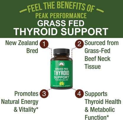 Raw Desiccated Thyroid Supplement. Grass Fed New Zealand Beef Neck & Thyroid Gland Capsules for Women and Men. Ancestral Living Ethically Sourced Bovine Supplements for Energy and Metabolism Support - PrimeBioHealth - canada supplements