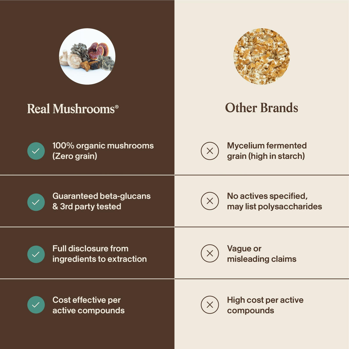 Real Mushrooms 5 Defenders - Adaptogenic Mushrooms Complex with Chaga, Reishi, Turkey Tail, Maitake & Shiitake for Wellness Support - PrimeBioHealth - canada supplements
