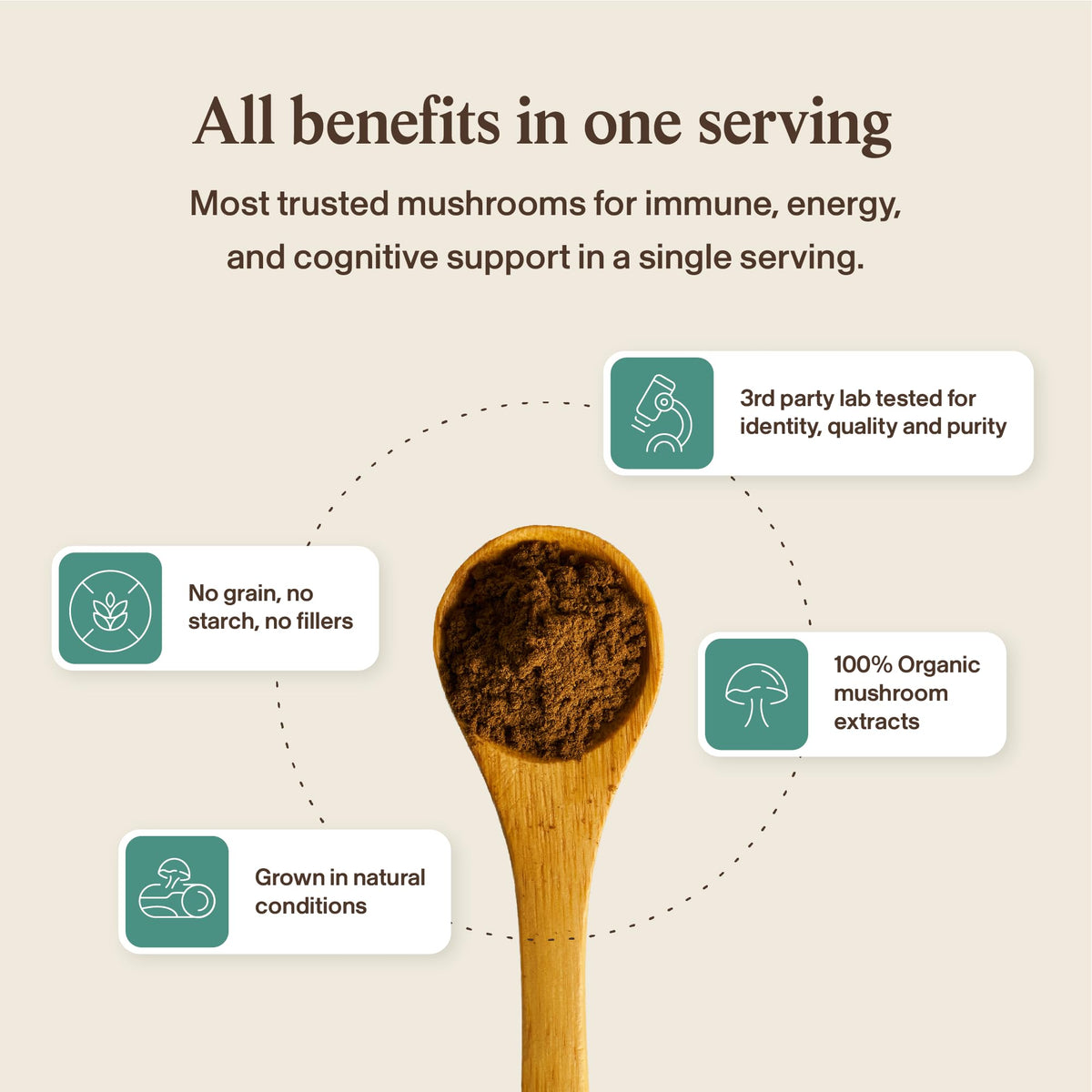 Real Mushrooms 5 Defenders - Adaptogenic Mushrooms Complex with Chaga, Reishi, Turkey Tail, Maitake & Shiitake for Wellness Support - PrimeBioHealth - canada supplements