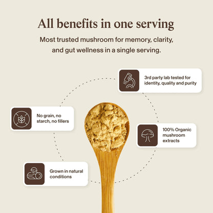 Real Mushrooms Lions Mane Mushroom Cognition (120 Capsules) Lions Mane Mushroom Powder Extract Capsules - PrimeBioHealth - canada supplements