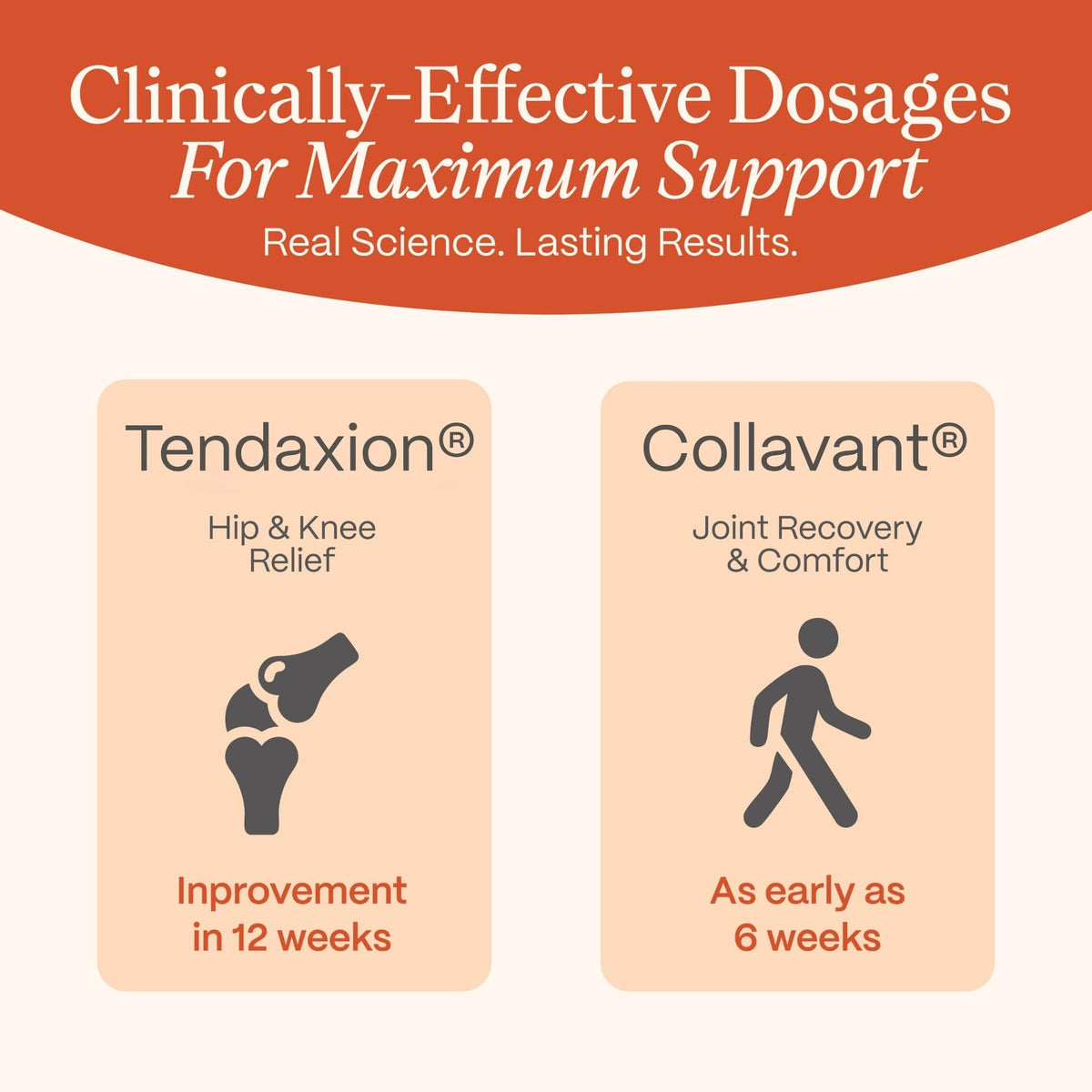 Rejuveen Osteva Joint Support Supplement for Women | High Potency Collagen, Turmeric, Boswellia | for Flexible Cartilage & Tendons, - PrimeBioHealth - canada supplements