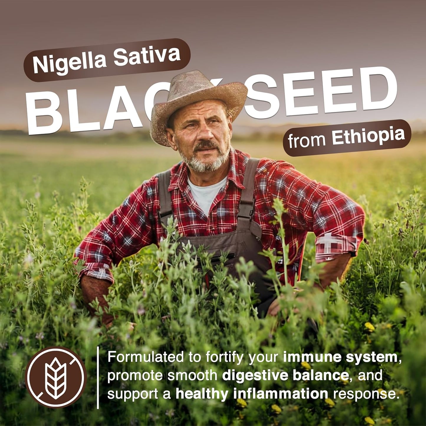 Resilia Ethiopian Black Seed Softgels 1000mg Per Serving – Premium Nigella Sativa Seed Oil Supplement – Digestive & Immune Support Formula – Easy to Swallow Soft Capsules 180 Count (Pack 3) - PrimeBioHealth - canada supplements