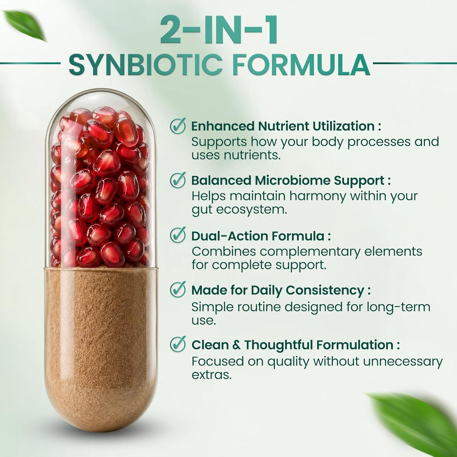 Resilia Synbiotic Probiotic + Prebiotic Supplement for Women & Men – 53.6 Billion AFU, 18 Strains, Shelf-Stable Capsules with Polyphenols, Digestive & Gut Balance Support, 60 Capsules - PrimeBioHealth - canada supplements