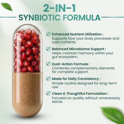 Resilia Synbiotic Probiotic + Prebiotic Supplement for Women & Men – 53.6 Billion AFU, 18 Strains, Shelf-Stable Capsules with Polyphenols, Digestive & Gut Balance Support, 60 Capsules - PrimeBioHealth - canada supplements