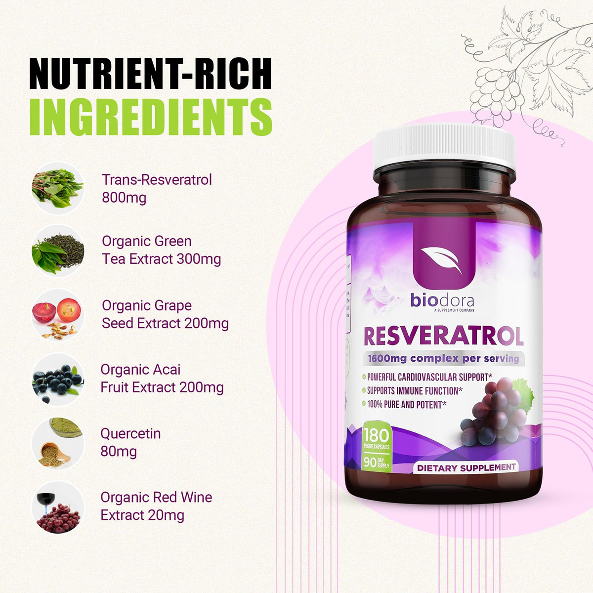 Resveratrol 1600mg - 180 Capsules | Trans-Resveratrol Antioxidant Supplement with Natural Green Tea, Grape Seed Polyphenols & Quercetin, Supports Digestive - PrimeBioHealth - canada supplements