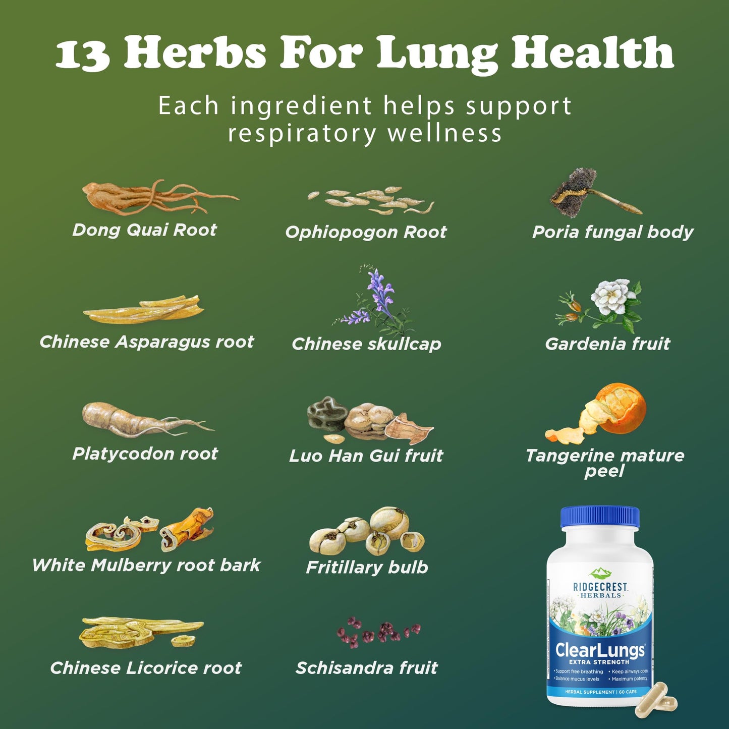 RidgeCrest Herbals ClearLungs Extra Strength, Daily Health Supplement, Natural Lung and Nasal Wellness Formula - PrimeBioHealth - canada supplements