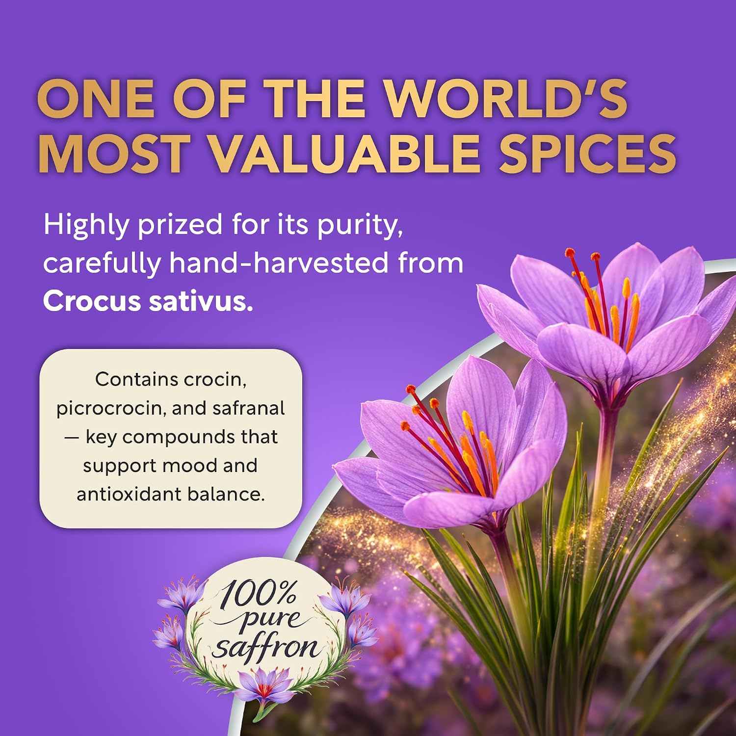 Saffron Supplements for Women 88.5mg Mood | Focus | Vision | Energy Support - PrimeBioHealth - canada supplements