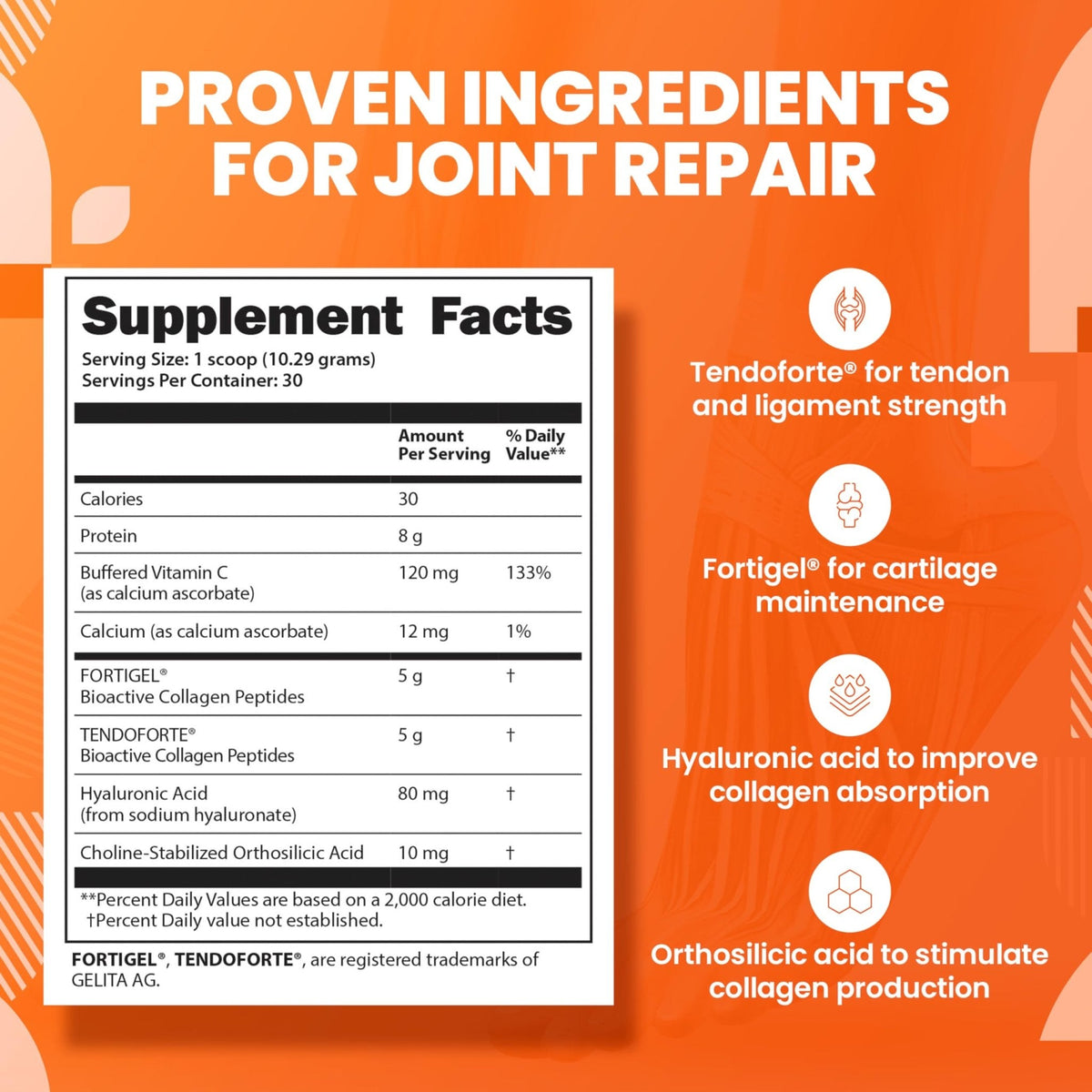 SaltWrap Collagen Synthesis - Collagen Peptides for Joints with Fortigel, Tendoforte, Best Collagen Powder for Tendons, Ligaments - PrimeBioHealth - canada supplements