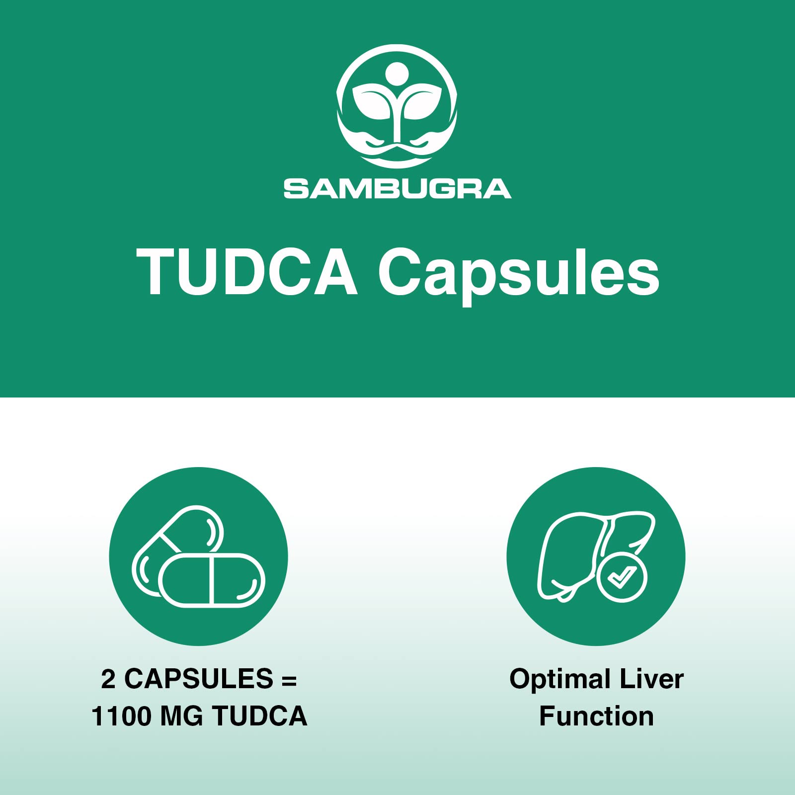Sambugra TUDCA Liver Supplements 1100mg, 3rd Party Tested Ultra Strength Bile Salt TUDCA Supplement, Liver Support for Detox - PrimeBioHealth - canada supplements