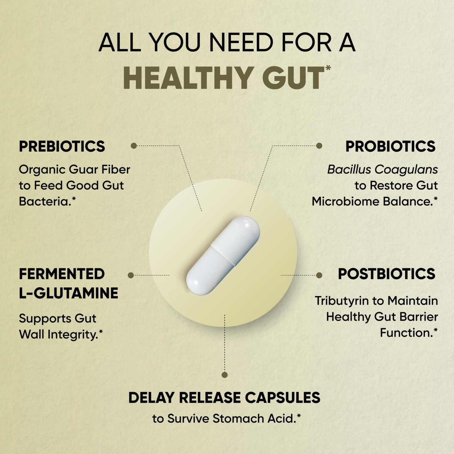 Sandhu's Gut Health - Prebiotic, Probiotic, Postbiotic & L-Glutamine | Digestive Health, Colon, Probiotic Total Supplements | 120 Delayed Release Capsules - PrimeBioHealth - canada supplements