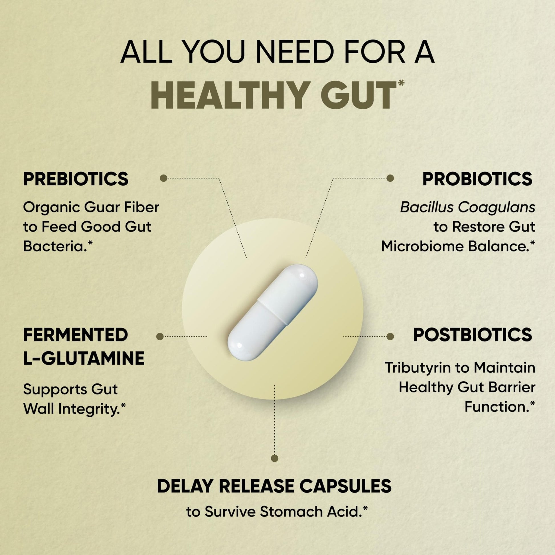Sandhu's Gut Health - Prebiotic, Probiotic, Postbiotic & L-Glutamine | Digestive Health, Colon, Probiotic Total Supplements | 120 Delayed Release Capsules - PrimeBioHealth - canada supplements