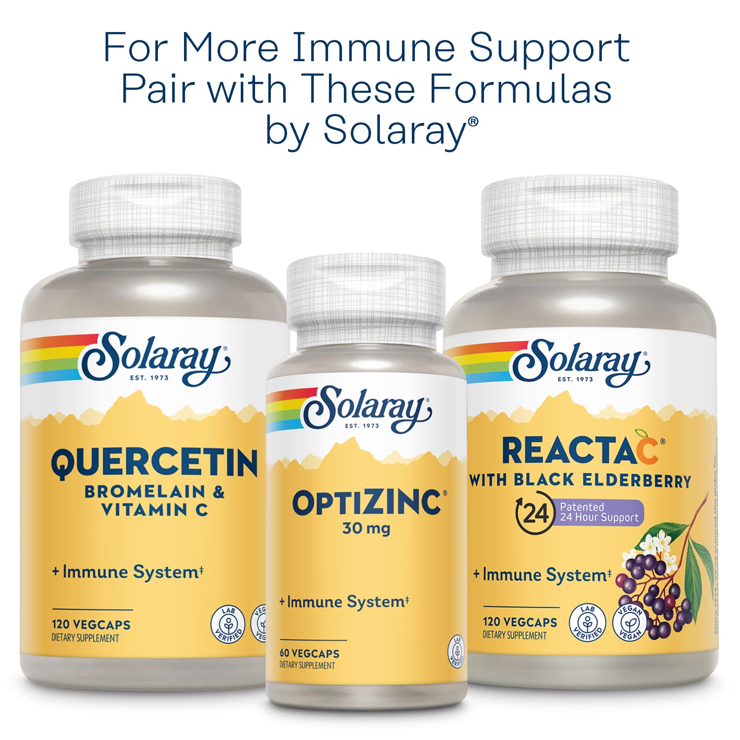 SOLARAY L-Lysine Monolaurin Immune Support Supplement, 1:1 Ratio for Immune System Function, 500 mg Each, 60-Day Money Back Guarantee - PrimeBioHealth - canada supplements