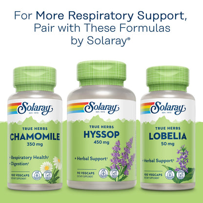 SOLARAY Mullein Leaf 330 mg - Soothing Herbal Support - Mullein Capsules Traditionally Used to Support Health and Wellness - Vegan, Non-GMO, Lab Verified, 60-Day Guarantee, 100 Servings, 100 VegCaps - PrimeBioHealth - canada supplements