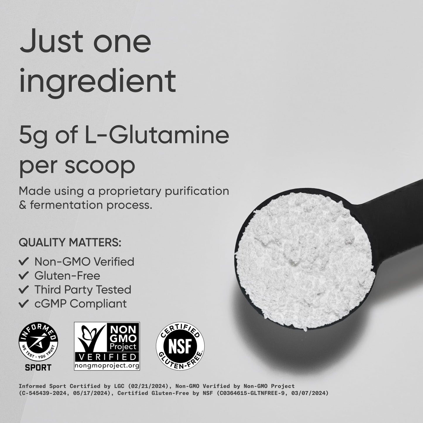 Sports Research L-Glutamine - Workout Recovery, Immune Health & Gut Health Support - 5 G Per Serving - 10.58 Oz - PrimeBioHealth - canada supplements