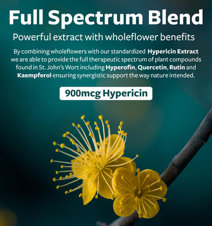 St John's Wort Capsules - Powerful & Potent Saint John's Wort Extract & Whole Herb Complex Standardized to 900mcg Hypericin for Balancing Daily Mood Support - Vegan Non-GMO & Lab Verified (120 Caps) - PrimeBioHealth - canada supplements