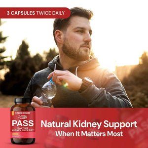 STONE RELIEF Daytime Herbal Kidney Support for Urinary Flow & Comfort | Chanca Piedra Formula – 180 Capsules