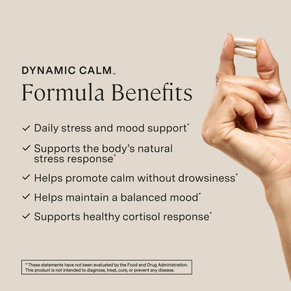 Stonehenge Health Dynamic Calm - 600mg KSM-66 Ashwagandha with L-theanine, Rhodiola Rosea, Holy Basil, and Magnesium Glycinate, Daily Stress and Mood Support, Non-GMO, 60 Vegetarian Capsules - PrimeBioHealth - canada supplements
