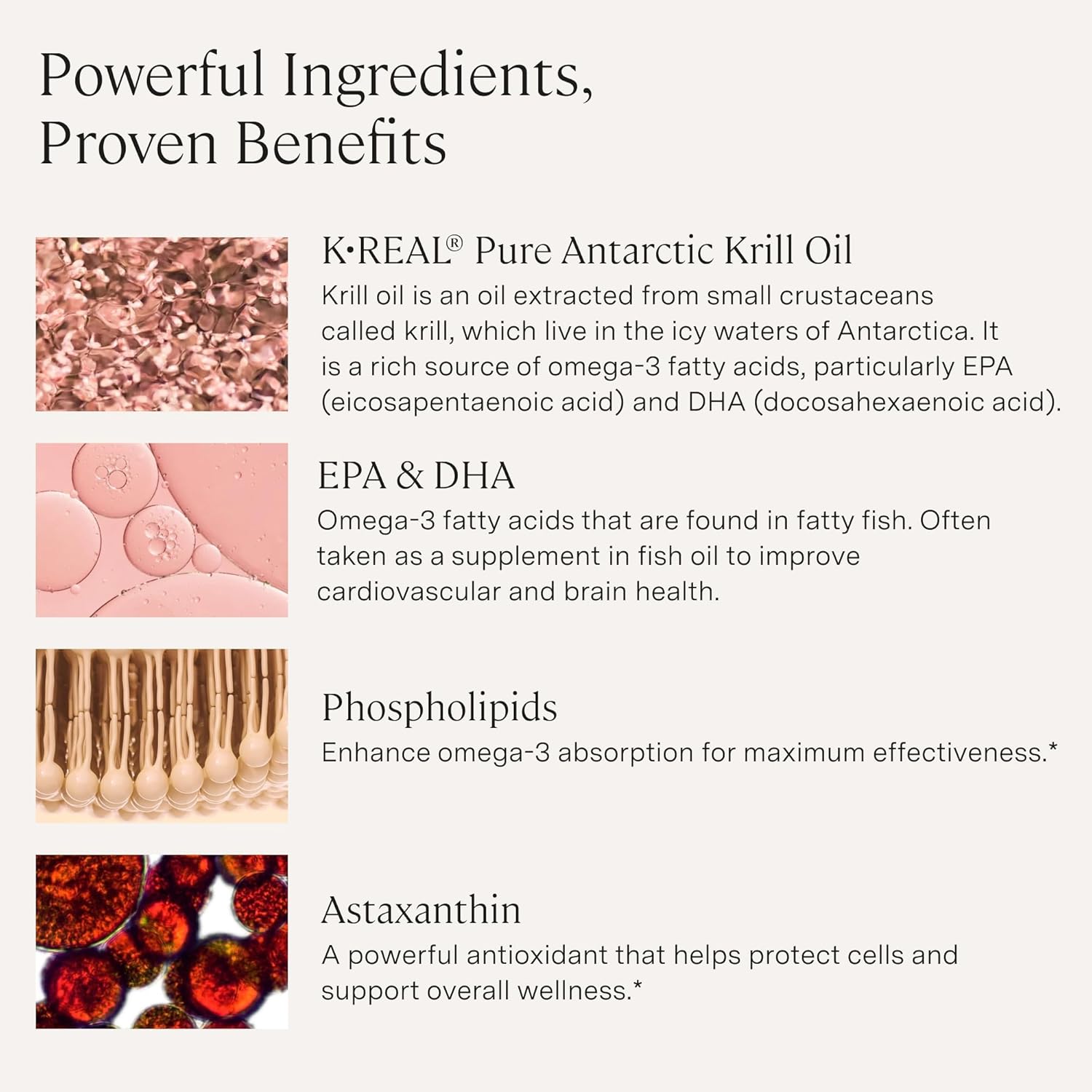 Stonehenge Health Dynamic Krill Oil 1600mg – Triple Strength Antarctic Omega-3 Supplement, EPA, Phospholipids & 2mg Astaxanthin – Supports Heart, Brain, Skin, Joint & Eye Health – 60 Softgels (3 Pack) - PrimeBioHealth - canada supplements