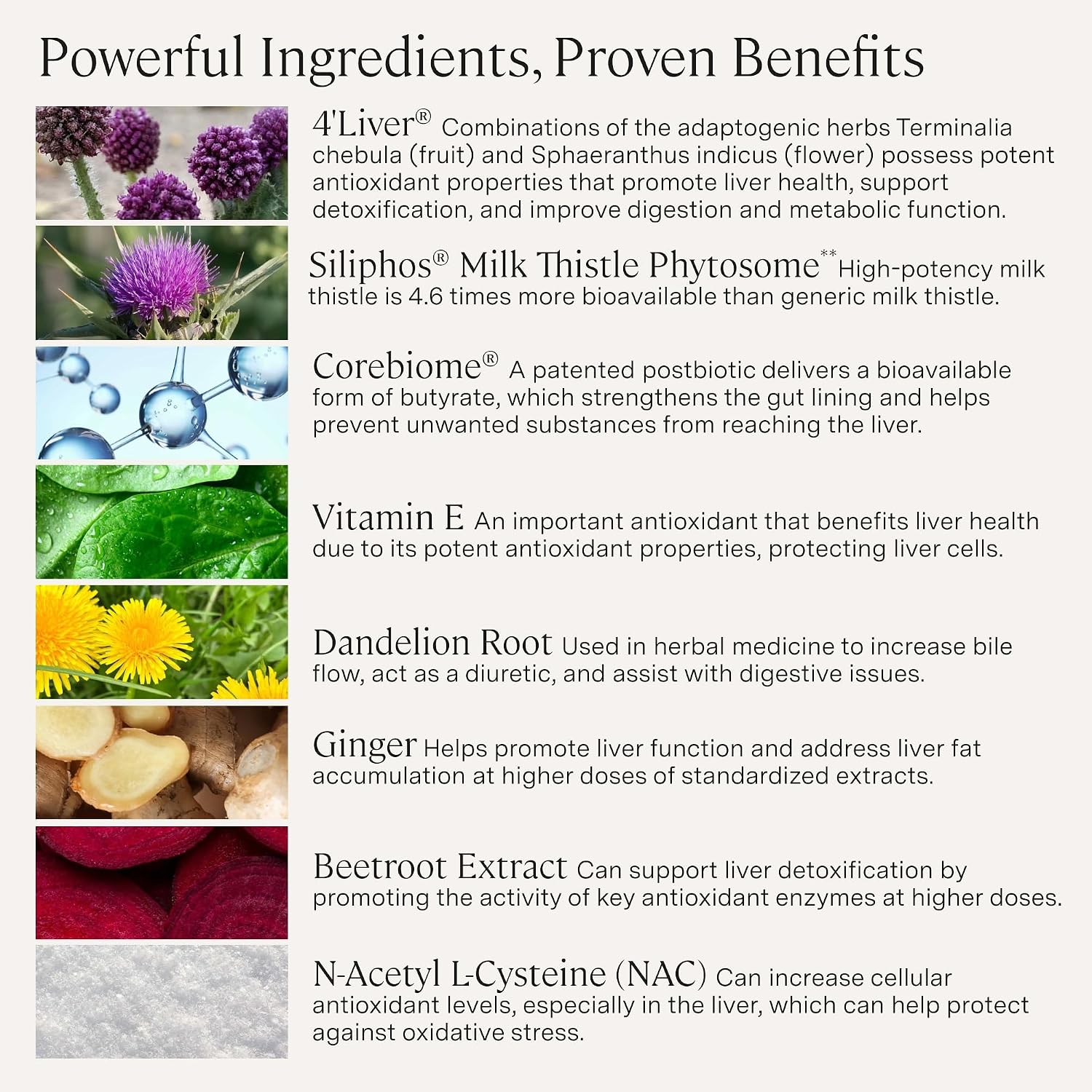 Stonehenge Health Dynamic Liver – Siliphos Milk Thistle Formula – Liver Support & Antioxidant Support, Gut-Liver Axis, Selenium, Zinc, Vitamin E, Ginger, Beetroot Extract, Non-GMO, 60 Veg Caps - PrimeBioHealth - canada supplements