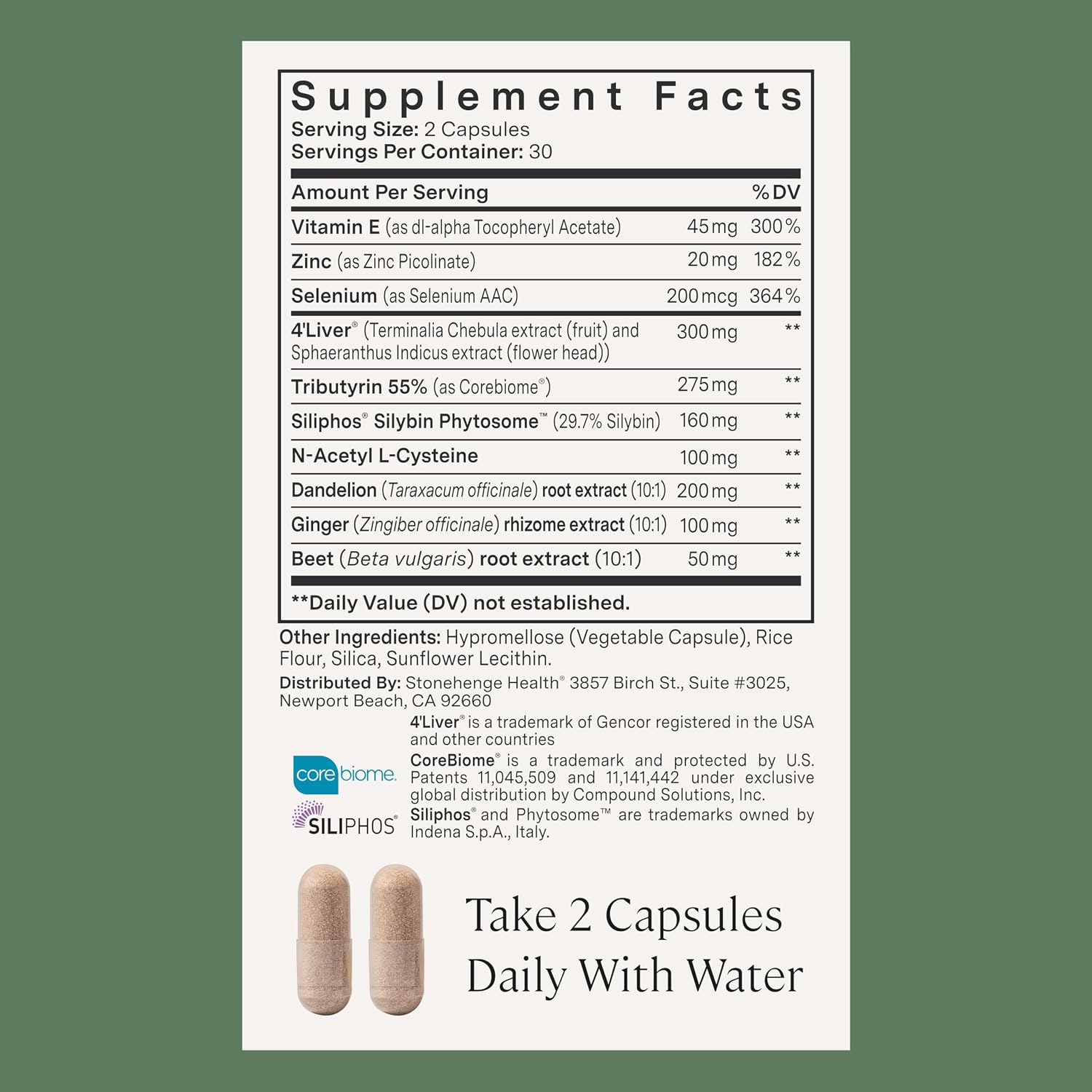 Stonehenge Health Dynamic Liver – Siliphos Milk Thistle Formula – Liver Support & Antioxidant Support, Gut-Liver Axis, Selenium, Zinc, Vitamin E, Ginger, Beetroot Extract Non-GMO, 60 Veg Caps (2 Pack) - PrimeBioHealth - canada supplements