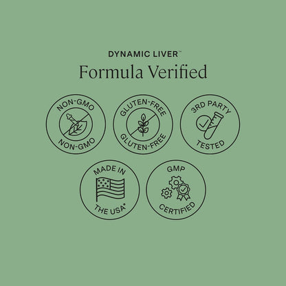 Stonehenge Health Dynamic Liver – Siliphos Milk Thistle Formula – Liver Support & Antioxidant Support, Gut-Liver Axis, Selenium, Zinc, Vitamin E, Ginger, Beetroot Extract, Non-GMO, 60 Veg Caps - PrimeBioHealth - canada supplements