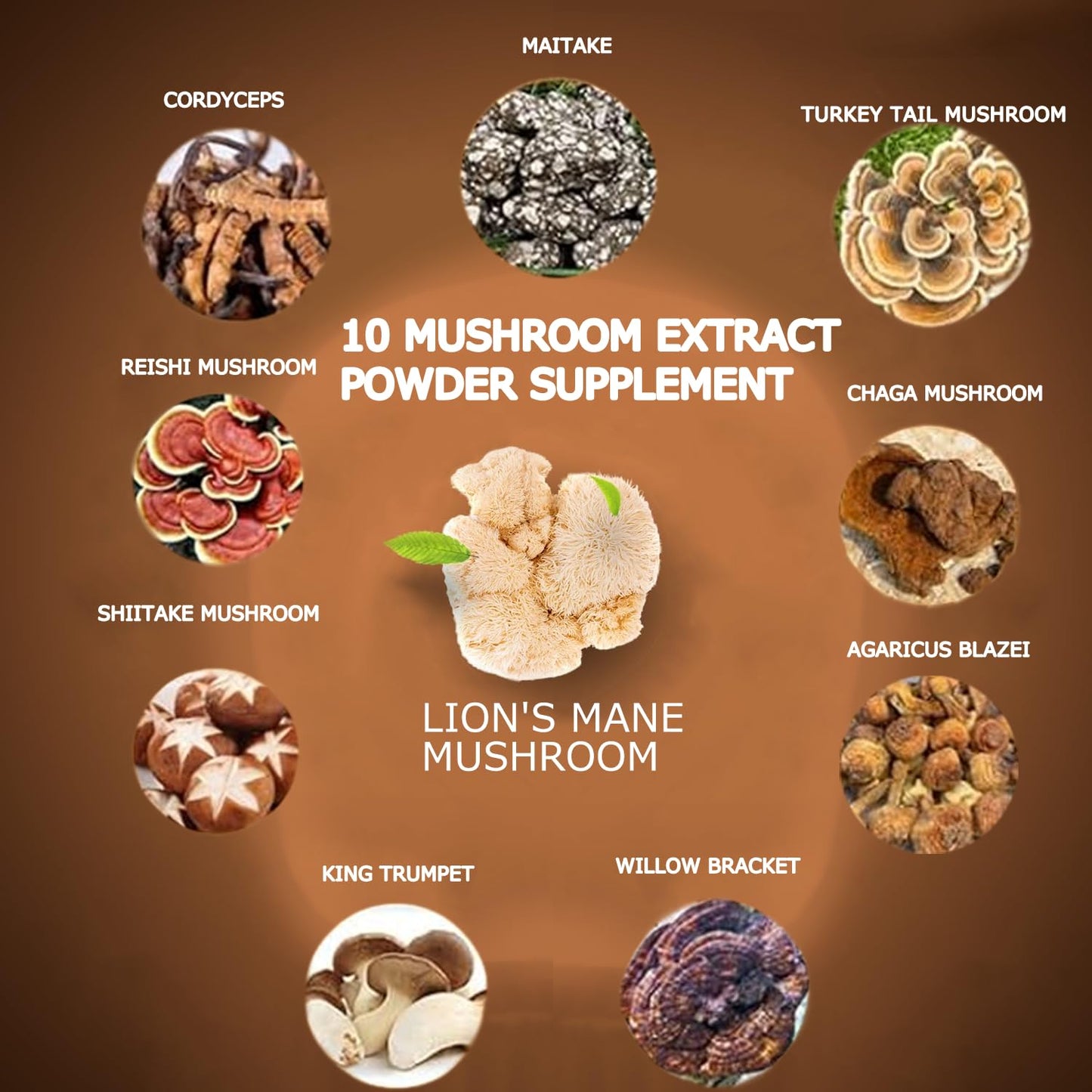 Suiyilary Mushroom Coffee, 10 Mushroom Extract Powder Blend Lion's Mane, Reishi, Chaga - PrimeBioHealth - canada supplements