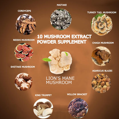 Suiyilary Mushroom Coffee, 10 Mushroom Extract Powder Blend Lion's Mane, Reishi, Chaga - PrimeBioHealth - canada supplements