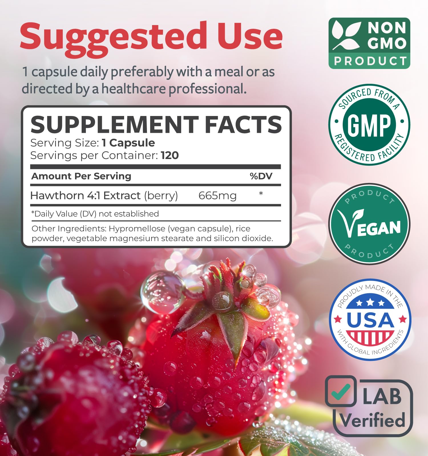 Super Potent Hawthorn Berry Extract Capsules - Hawthorn Berry Supplement Made from Extra Strength Concentrate to Support Heart and Digestive Health - Vegan Non-GMO & Gluten Free (4 Month Supply) - PrimeBioHealth - canada supplements