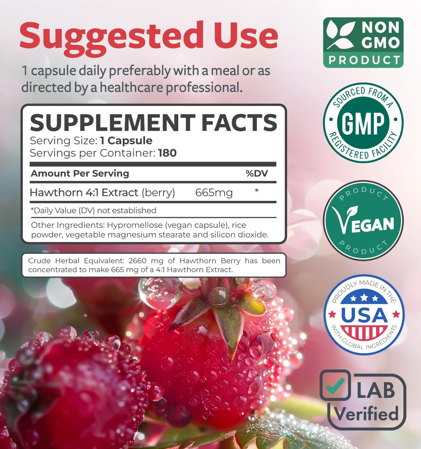 Super Potent Hawthorn Berry Extract Capsules - Hawthorn Berry Supplement Made from Extra Strength Concentrate to Support Heart and Digestive Health - Vegan Non-GMO & Gluten Free (4 Month Supply) - PrimeBioHealth - canada supplements