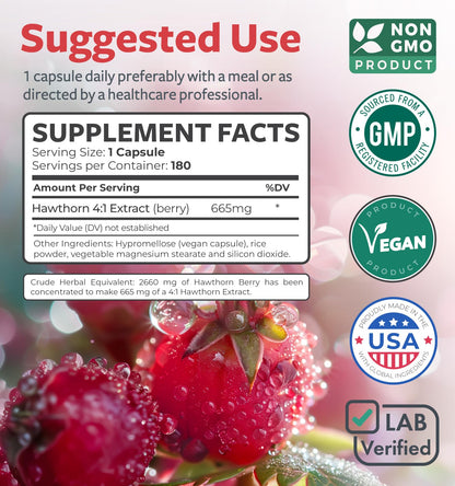Super Potent Hawthorn Berry Extract Capsules - Hawthorn Berry Supplement Made from Extra Strength Concentrate to Support Heart and Digestive Health - Vegan Non-GMO & Gluten Free (4 Month Supply) - PrimeBioHealth - canada supplements