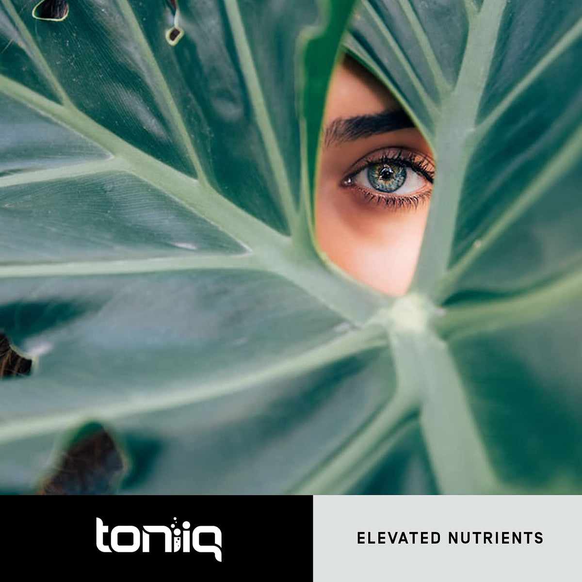 Toniiq Ultra High Purity Resveratrol Capsules - 98% Trans-Resveratrol - Highly Purified and Bioavailable - 180 Caps Reservatrol Supplement - PrimeBioHealth - canada supplements